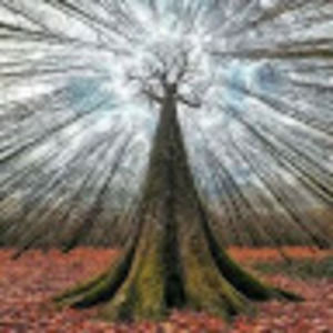 Meet your Posher, Tj